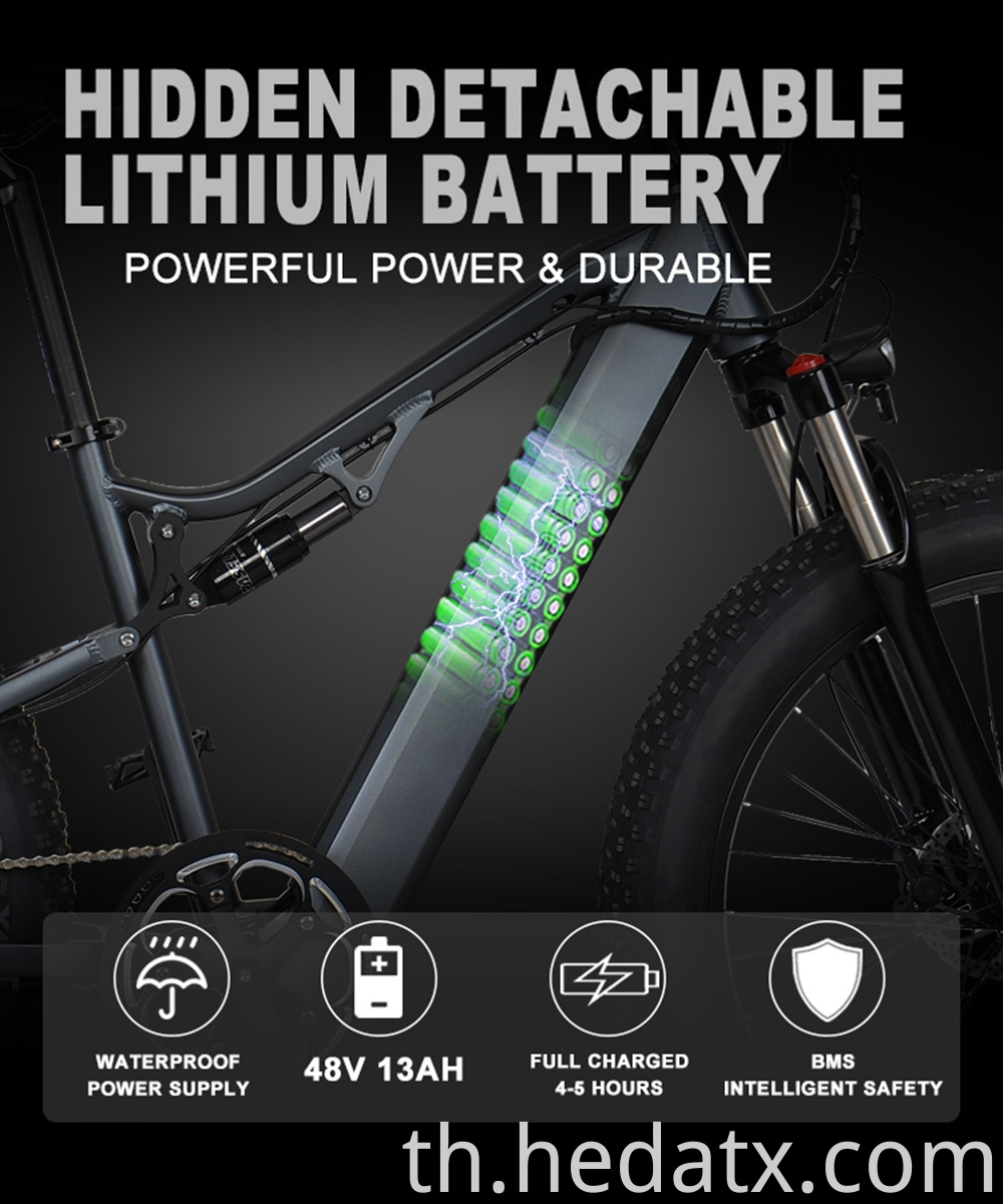 Low Carbon Electric Fat Tire Bike
